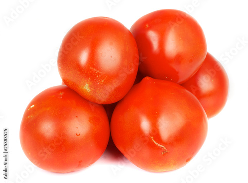 Tomatoes on white background