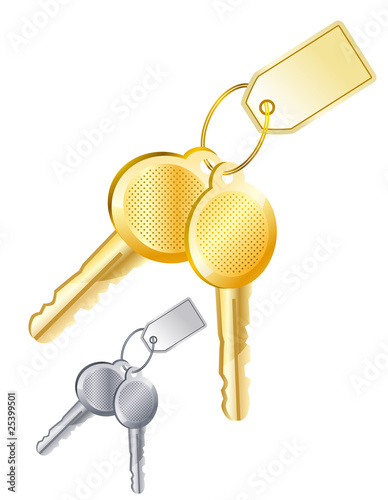 Two gold and silver vector keys