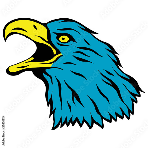 aquila