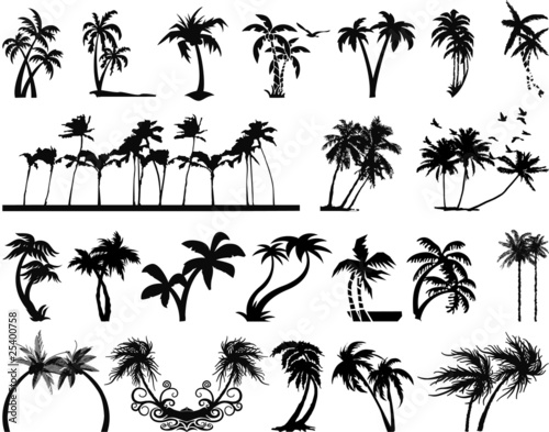 Palm Tree silhouettes #25400758
