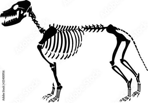 the Halloween wood vector designs