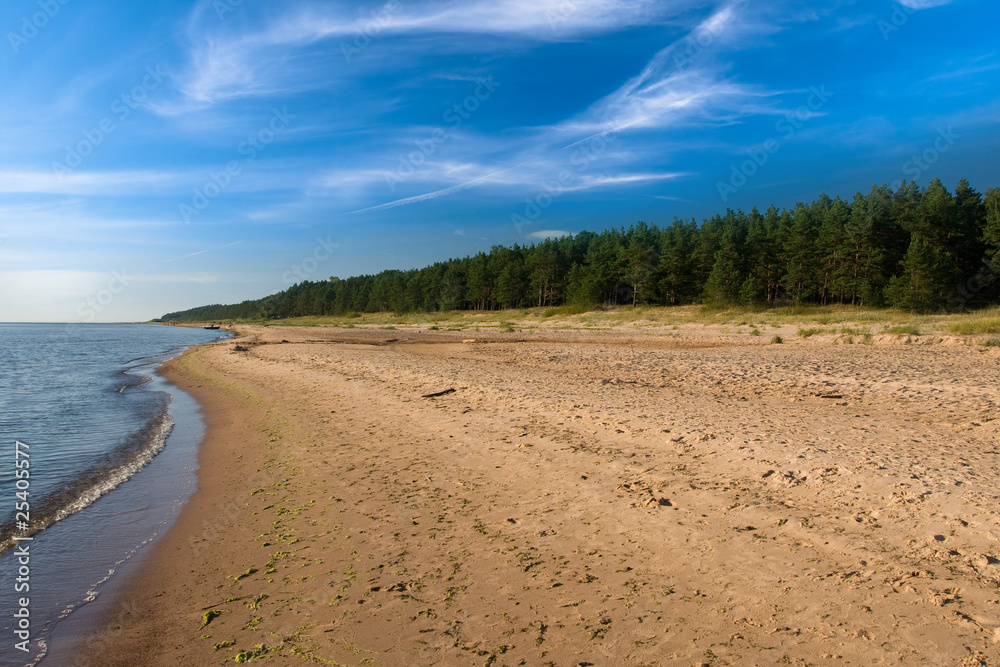 Sand beach in Latvia with windy clouds and pine forrest