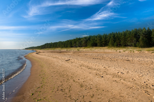 Sand beach in Latvia with windy clouds and pine forrest