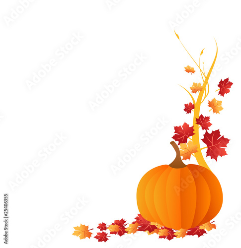 pumpkin isolated on white background