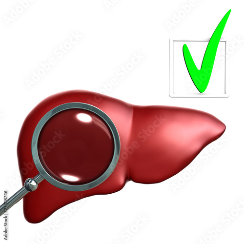 Testing Red  Human liver with magniglass