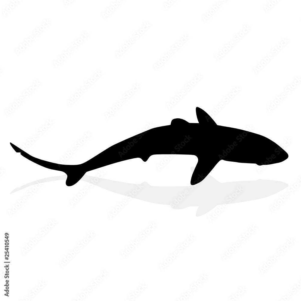 shark one black with shadow vector silhouettes shark one black with shadow vector silhouettes
