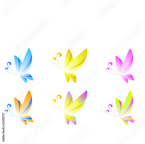 butterfly