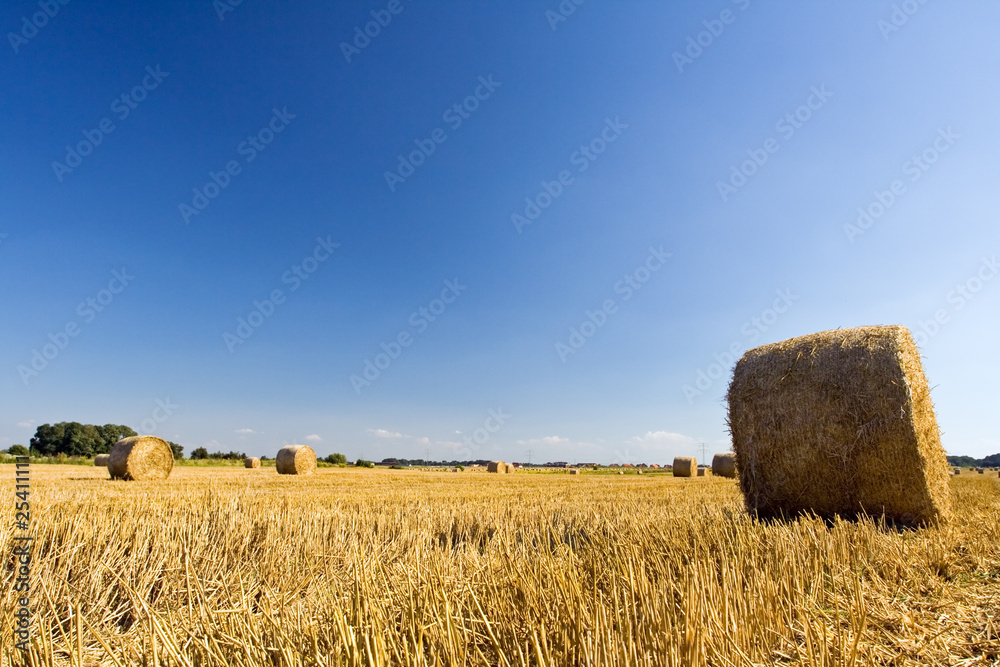Straw rolls, countryside agriculture