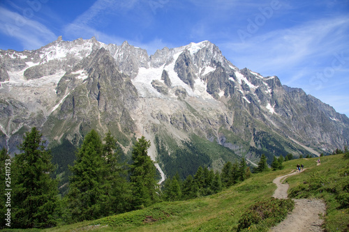 Grandes Jorasses  Monte Bianco 