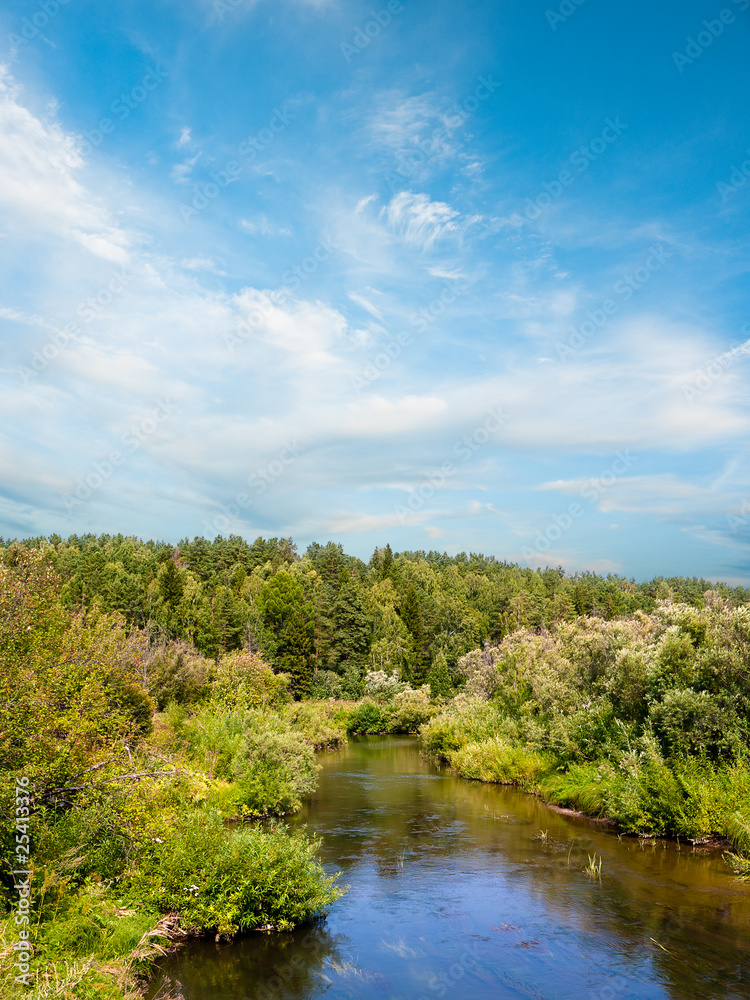 Summer landscape with Siberian nature