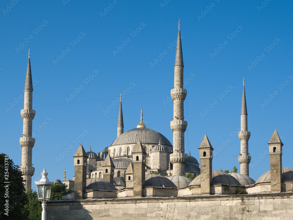 Fototapeta premium chimneys and minarets of blue mosque in Sultanhamet, Istanbul