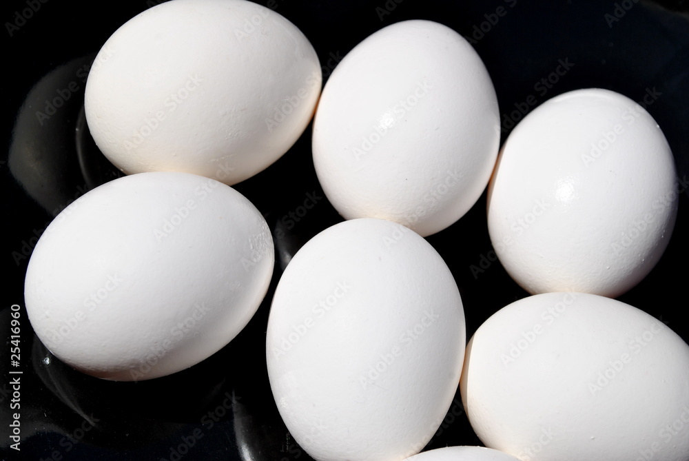 White Eggs Over Black White Eggs Over Black