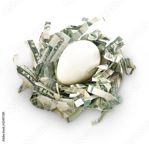 Tablou pe pânză Money Savings Nest Egg