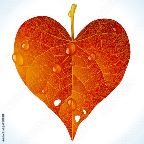 Autumnal love. Vector fallen leaf in the shape of heart