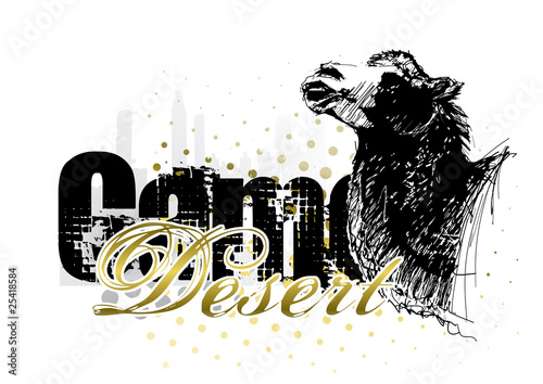 camel background