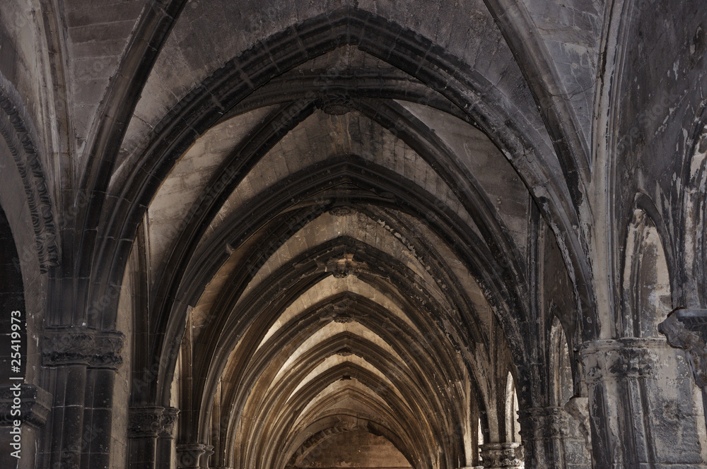 Fototapeta premium cloître saint-trophime 6