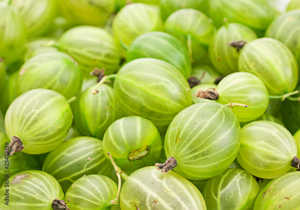 Green gooseberry