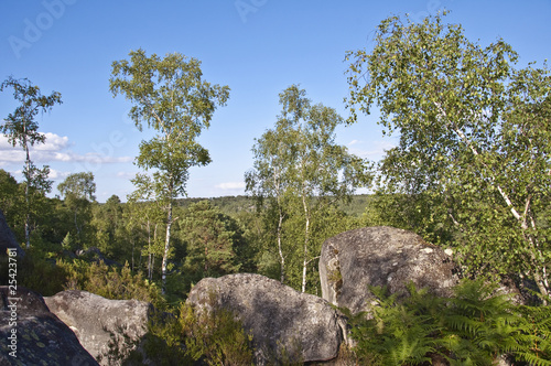 Les gorges d'Apremont en forêt de Fontainebleau