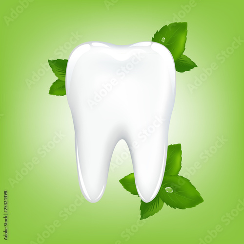 Tooth With Mint