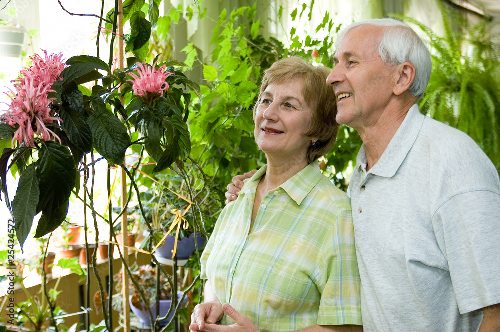 Obraz premium Elderly couple