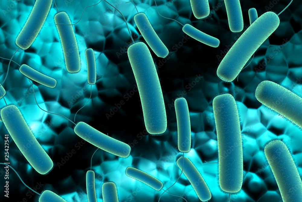 Obraz premium bacteria cell