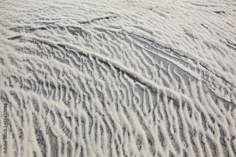 Obraz premium wind forms structures in the dunes at the beach