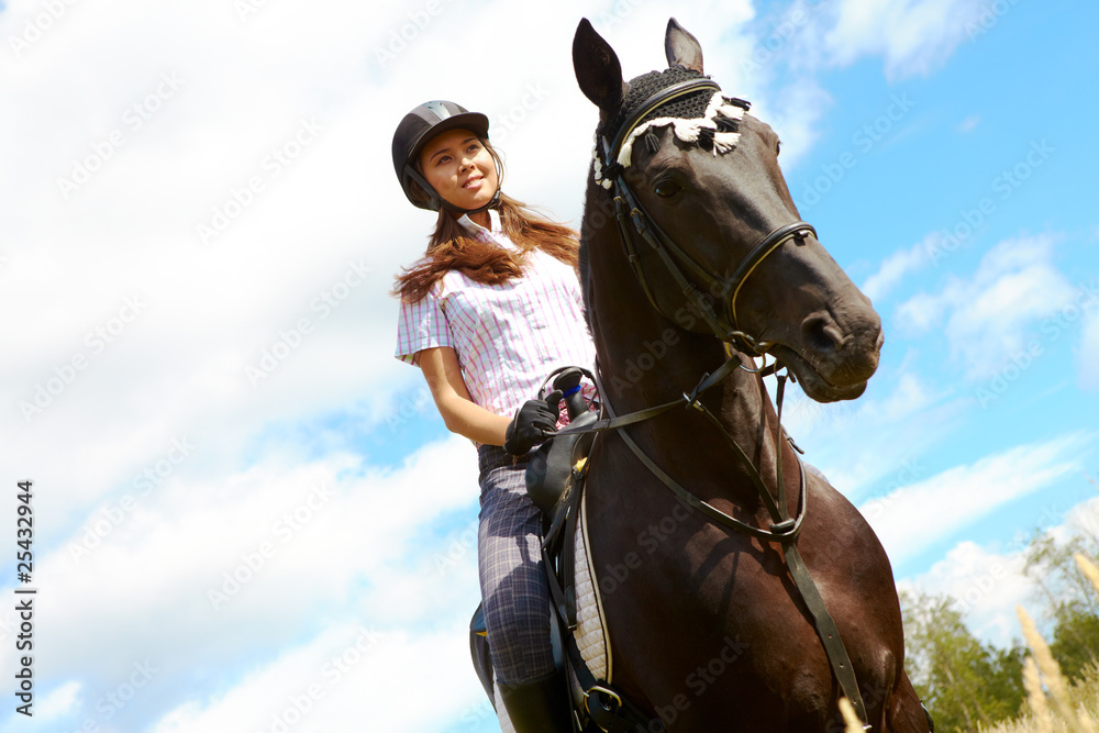 Obraz premium Dressage