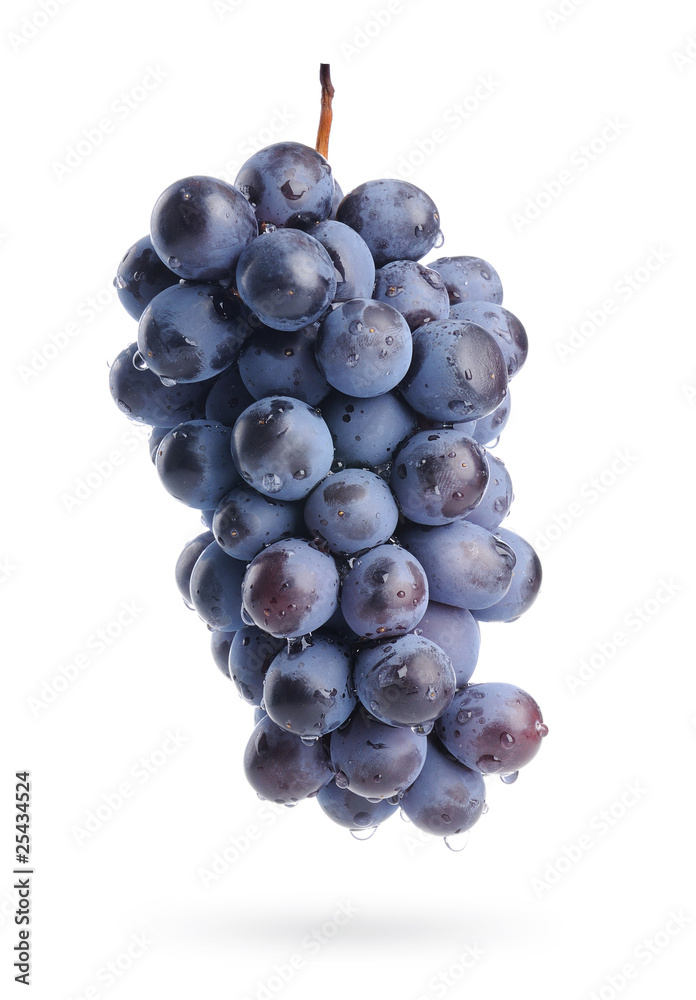 Bunch of grapes with water drops, isolated Bunch of grapes with water drops, isolated