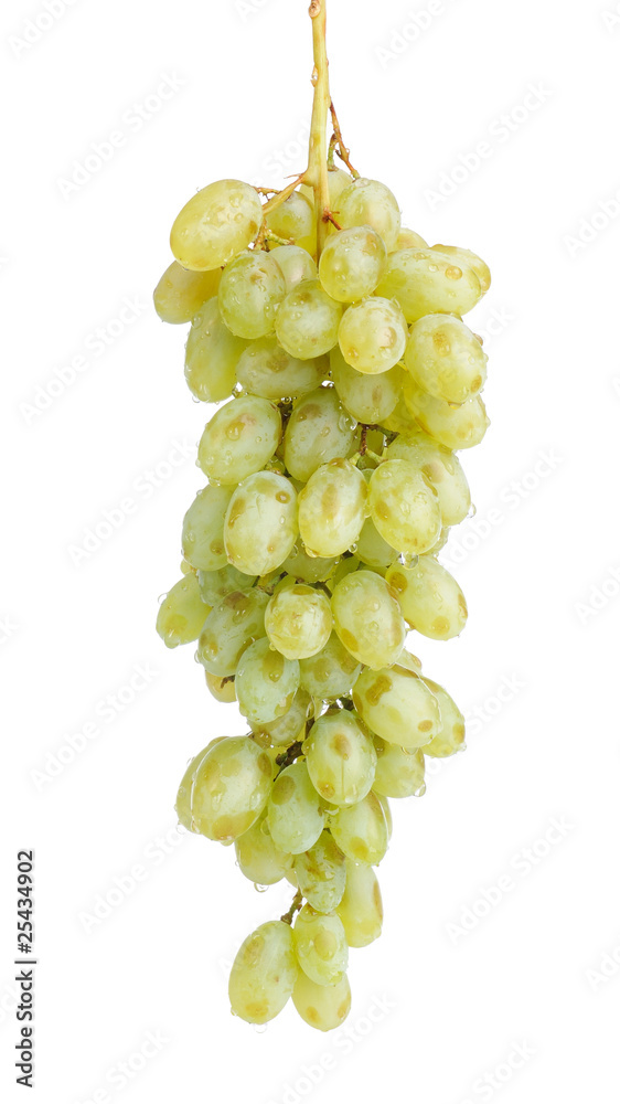 Bunch of green grapes with water drops, isolated Bunch of green grapes with water drops, isolated