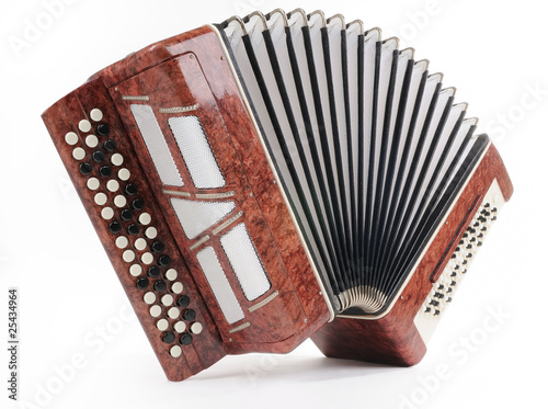 Brown bayan (accordion) on white background photo