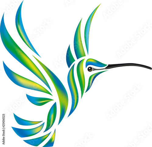 Humming-bird vector