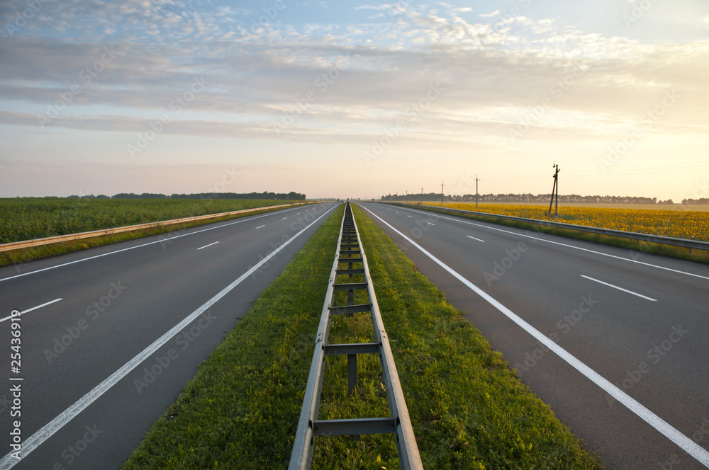 Fototapeta premium highways along a field of sunflowers