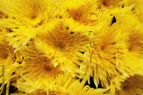 decorative bouquet of yello...
