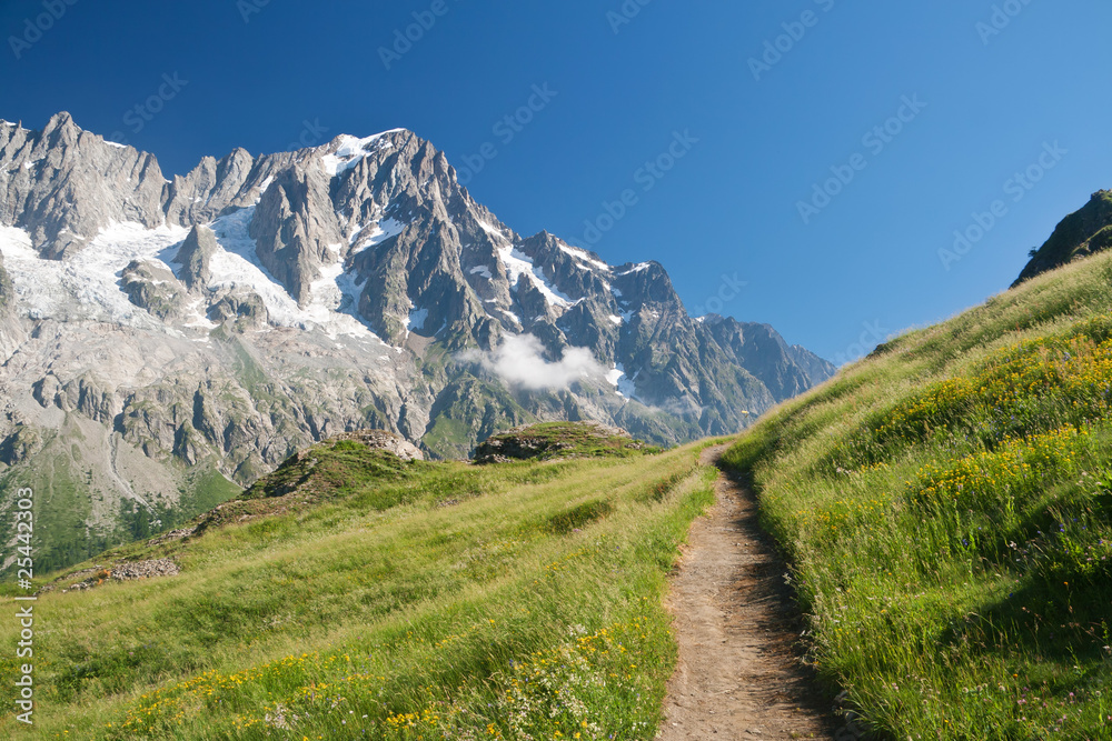 alpine path - sentiero alpino