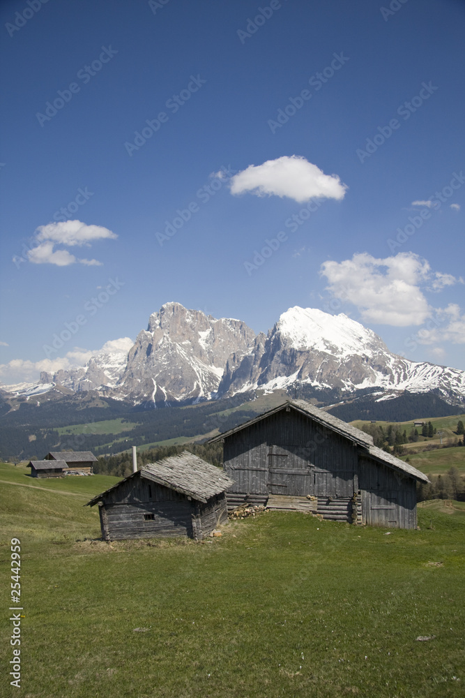 Berghütten auf der Seiser Alm