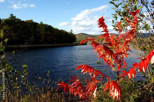 Autumn in New Hampshire