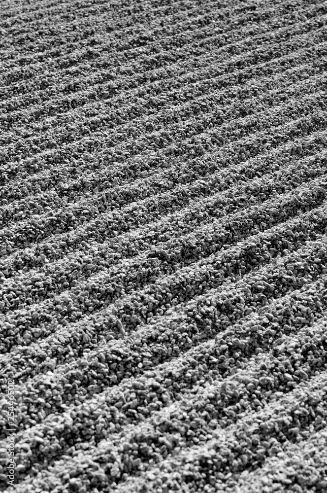 Steine/Textur Steine/Textur