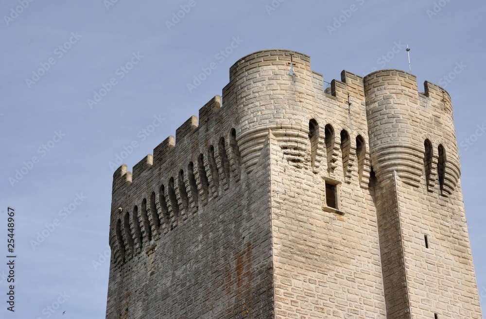 tour de l'abbaye de Montmajour