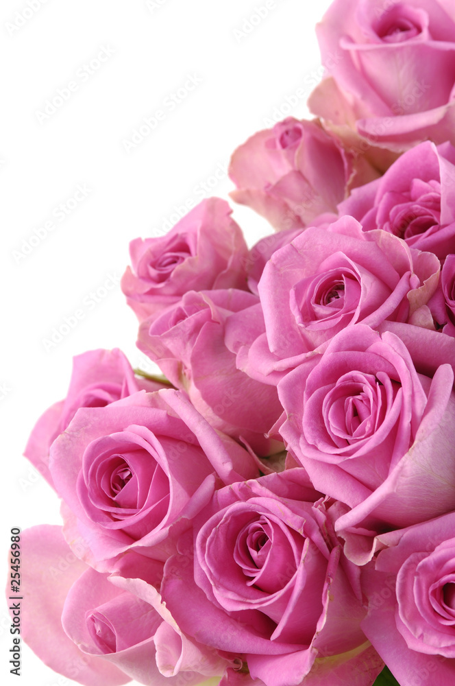 bouquet of pink roses bouquet of pink roses