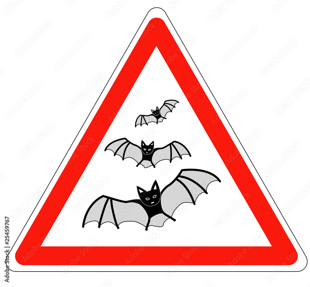 Danger // Chauve souris