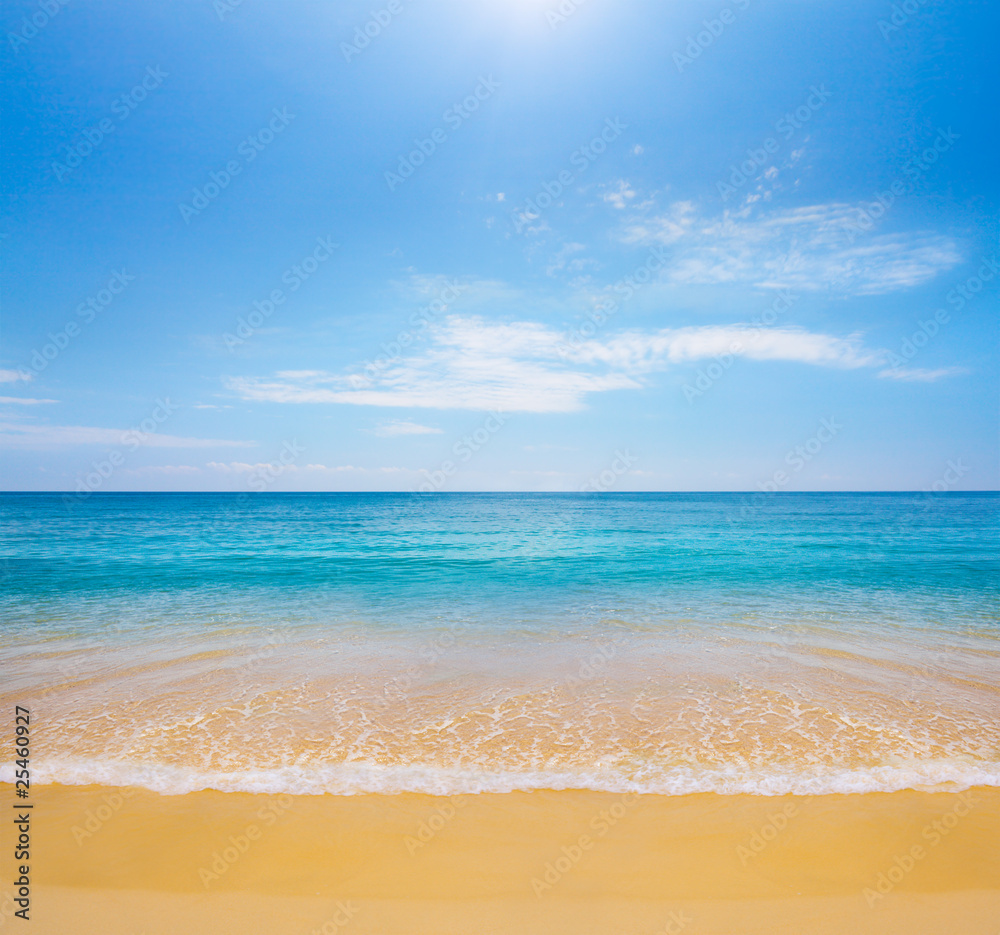 beach and tropical sea