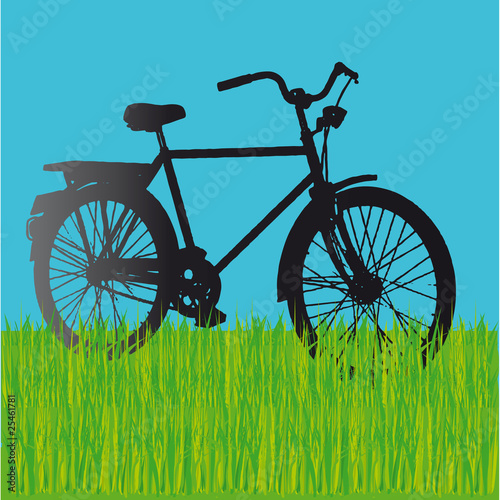 bicicletta
