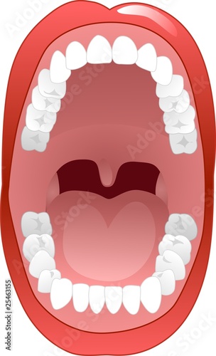 teeth2 photo