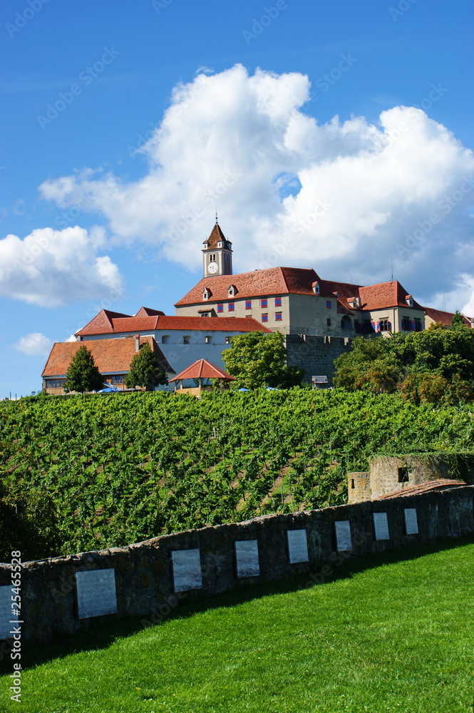Castle Riegensburg,Austria.