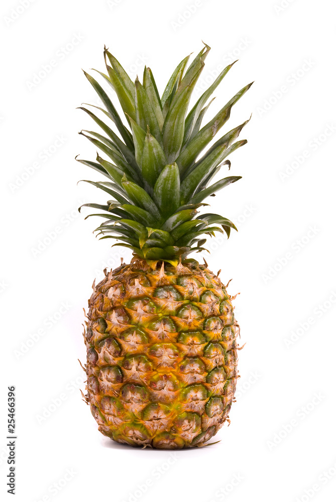 A whole pineapple isolated on a white background A whole pineapple isolated on a white background
