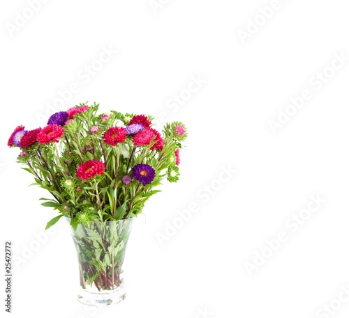 Bouquet of Autumn Asters in Vase