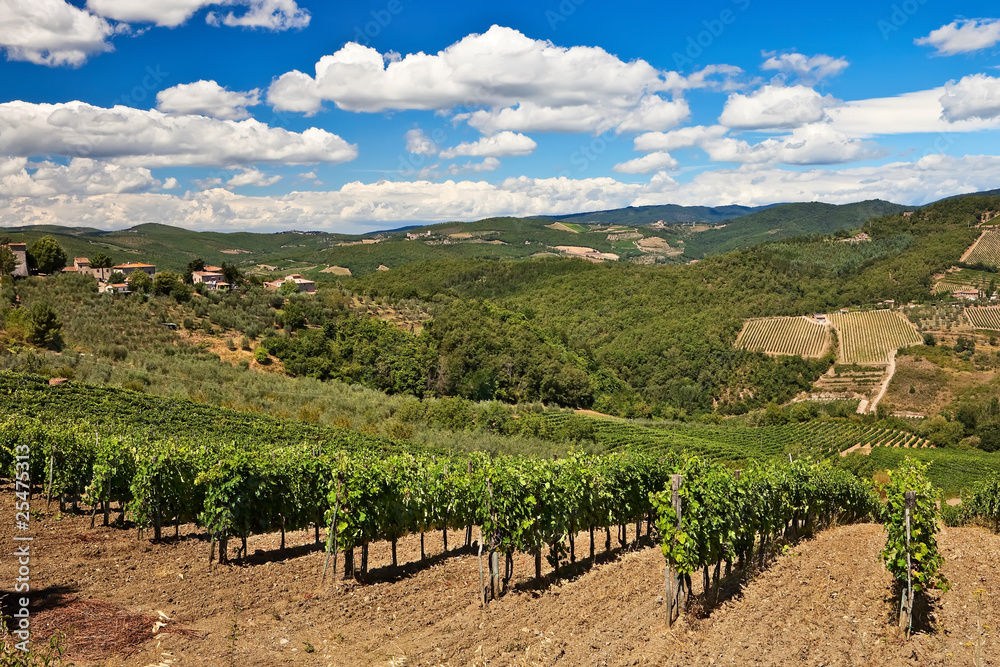 Vineyards and olive trees over hills at Chianti, Italy.