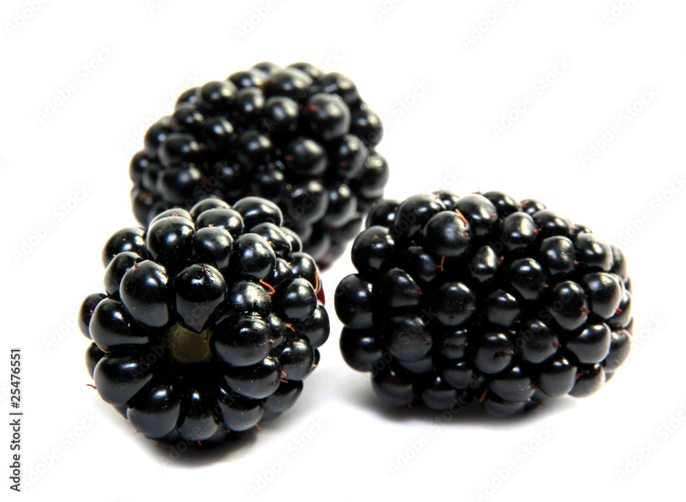 Fresh blackberries isolated on white background