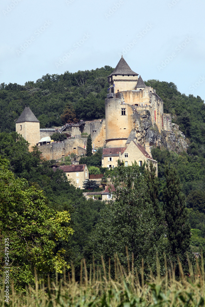Castelnau Chateau