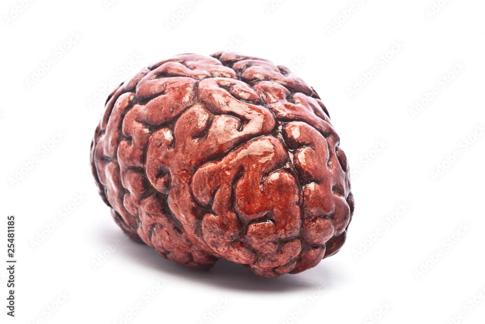 Bloody Brain on White Bloody Brain on White